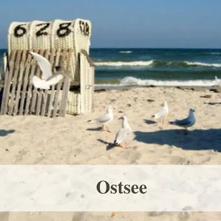 Meertraum Premium Mit 3 Zimmern, 250m Zum